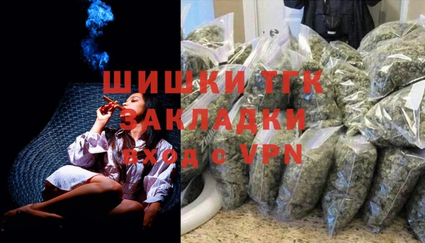 прущие грибы Баксан