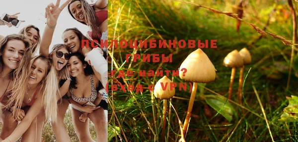 прущие грибы Баксан