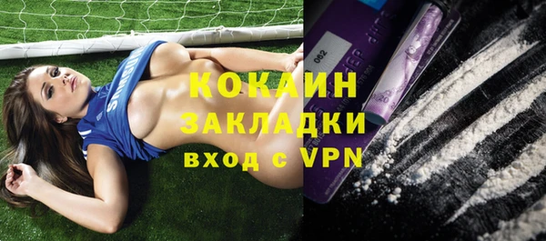 прущие грибы Баксан