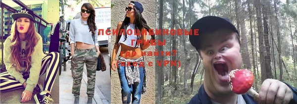 прущие грибы Баксан