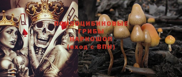 прущие грибы Баксан