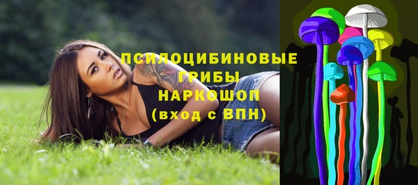 прущие грибы Баксан