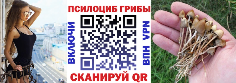 Галлюциногенные грибы Magic Shrooms  Кондрово 