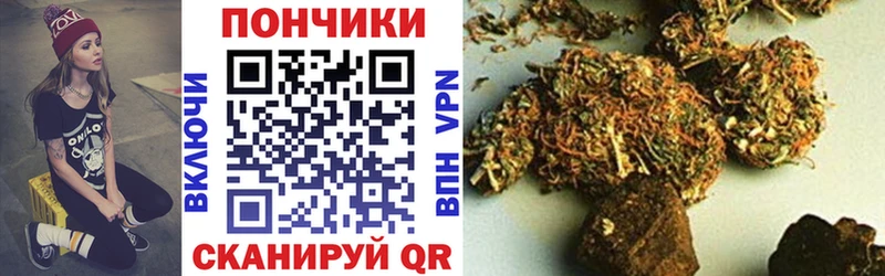 купить   Кондрово  Бошки Шишки гибрид 